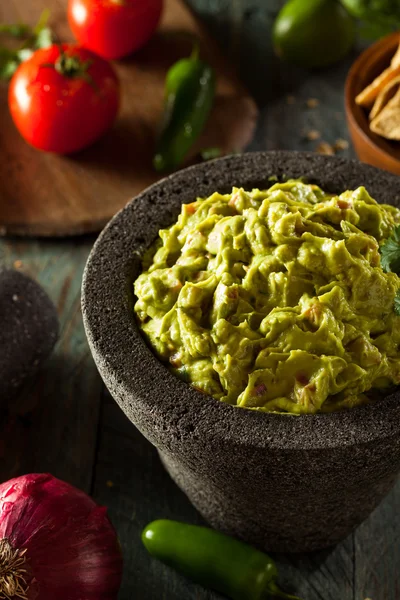 Guacamole fresco casero y patatas fritas — Foto de Stock