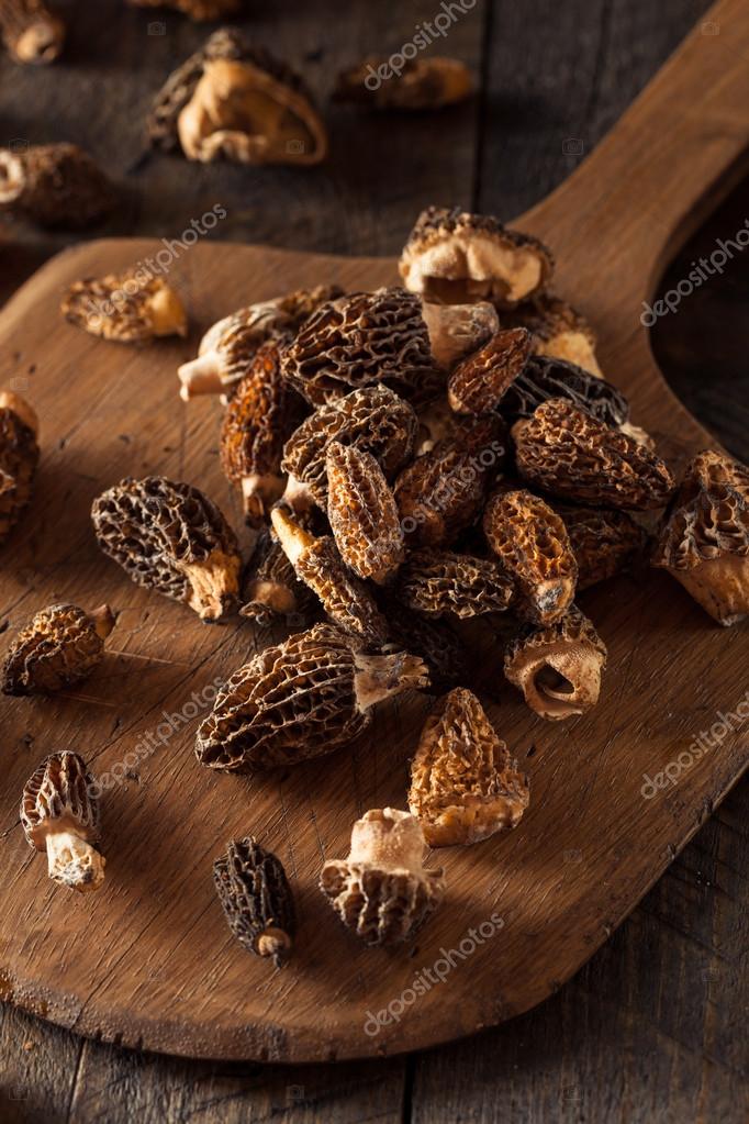 Raw Organic Morel Mushrooms Stock Photo by ©bhofack2 75839451