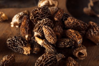 ham organik morel mantarları