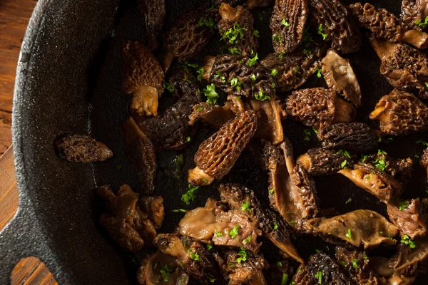 Champiñones morel salteados orgánicos —  Fotos de Stock