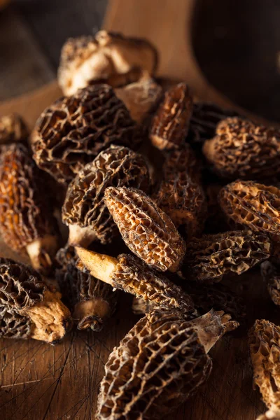 Raw Organic Morel Mushrooms — Stock Photo, Image