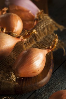 ham organik baharatlı arpacık