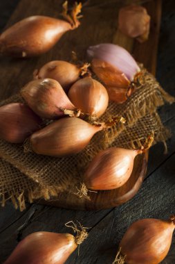 ham organik baharatlı arpacık