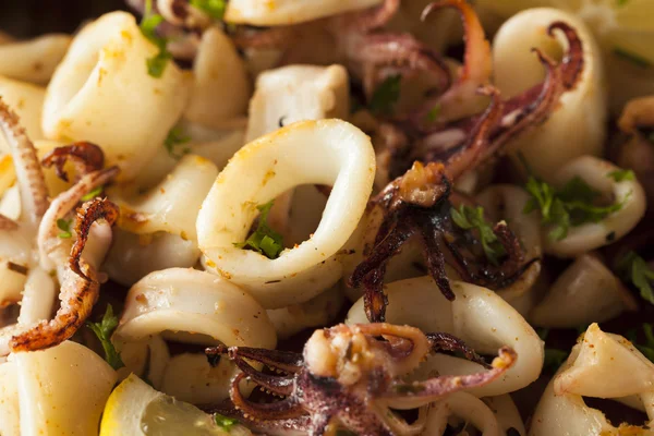 Homemade Fresh Grilled Calamari — Stock Photo, Image