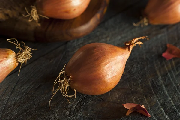 Surowe szalotki organiczny pikantne — Zdjęcie stockowe