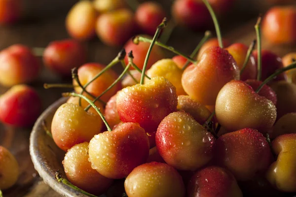Egészséges szerves Rainier cseresznye — Stock Fotó