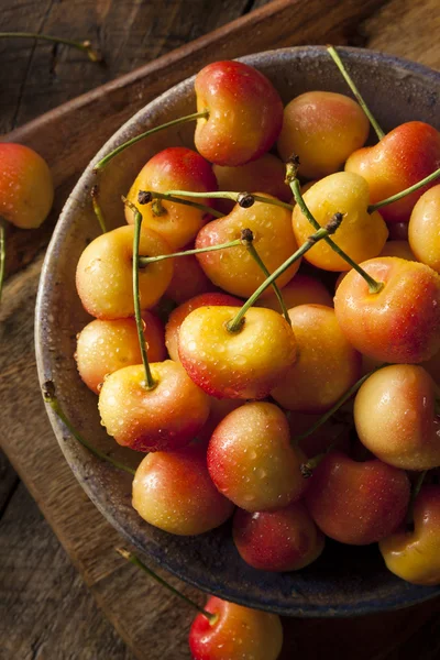 Healthy Organic Rainier Cherries — Stock Photo, Image