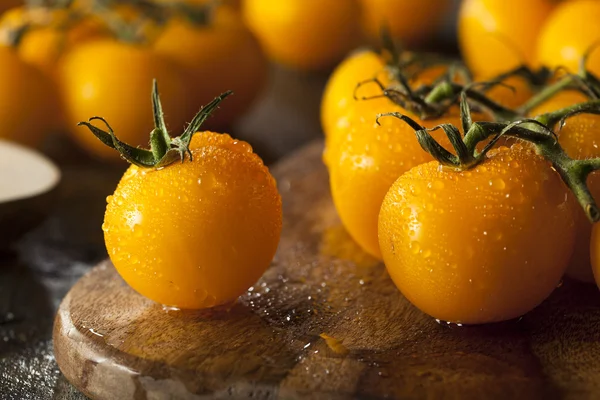 有机原料黄色番茄 — 图库照片