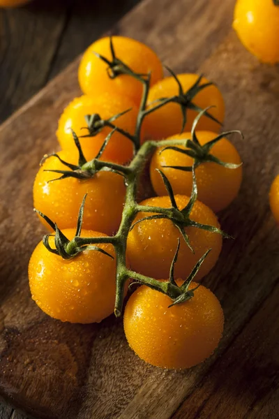 Pomodori gialli crudi biologici — Foto Stock