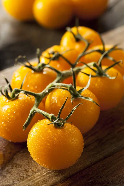 Οργανικές νωπό κίτρινο ντομάτες — Φωτογραφία Αρχείου
