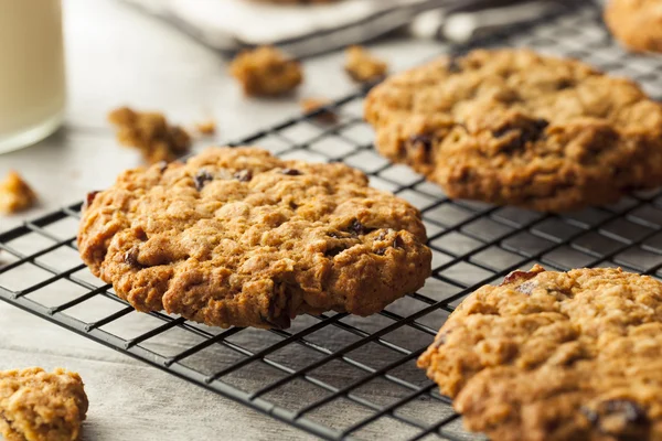 Galletas de avena caseras con pasas — Foto de Stock