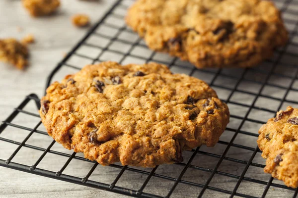 Hemgjorda havremjöl raisin cookies — Stockfoto