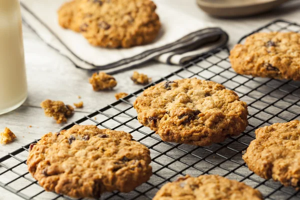 Hemgjorda havremjöl raisin cookies — Stockfoto