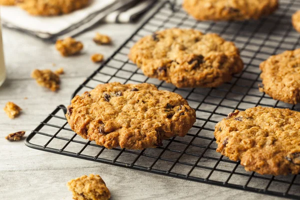 Hemgjorda havremjöl raisin cookies — Stockfoto