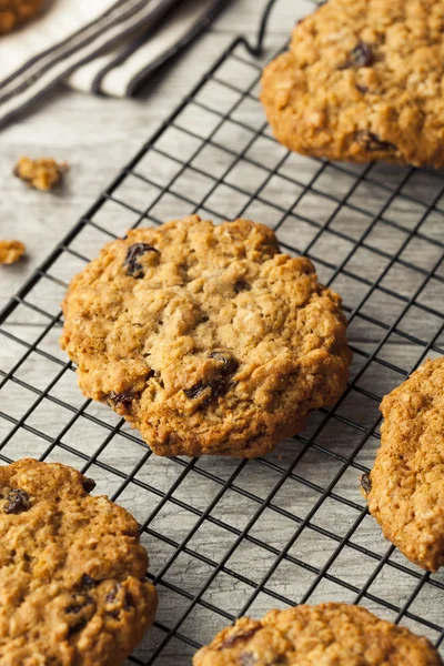 Hemgjorda havremjöl raisin cookies — Stockfoto