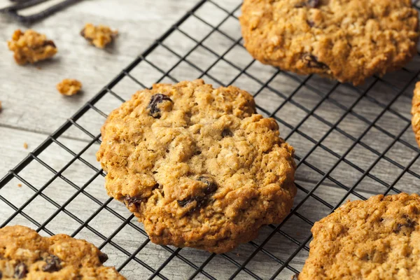 Hausgemachte Haferflocken Rosinenplätzchen — Stockfoto