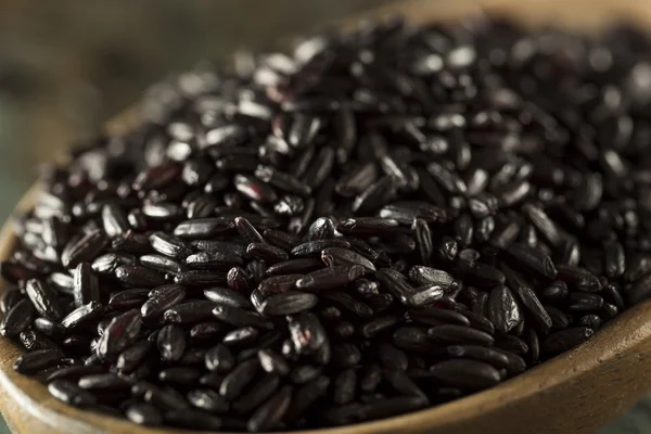 Arroz negro orgánico seco crudo — Foto de Stock