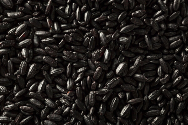 Raw Dry Organic Black Rice