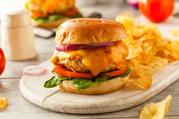 Homemade Healthy Chicken Burger — Stock Photo, Image