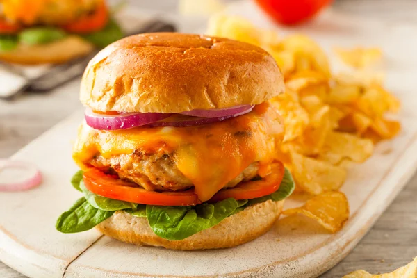 Homemade Healthy Chicken Burger — Stock Photo, Image