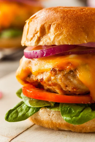 Homemade Healthy Chicken Burger — Stock Photo, Image