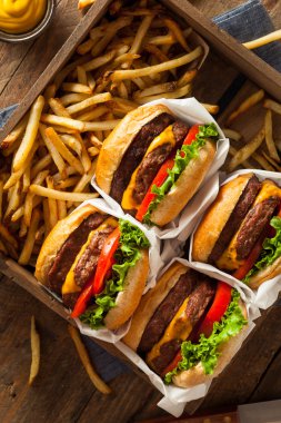 Çift çizburger ve patates kızartması