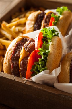 Çift çizburger ve patates kızartması