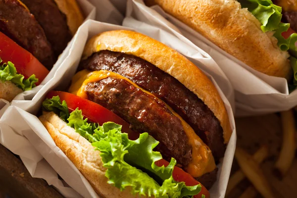 Dubbel cheeseburgare och pommes frites — Stockfoto