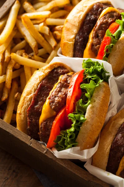 Doppelter Cheeseburger und Pommes — Stockfoto