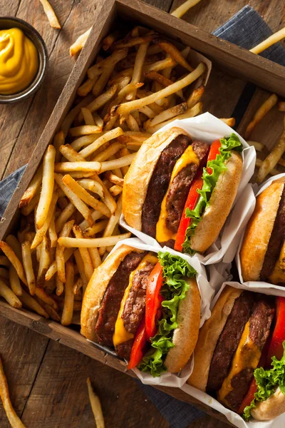 Hamburguesas dobles con queso y papas fritas —  Fotos de Stock