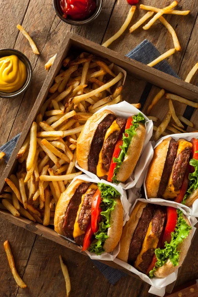 Doppio cheeseburger e patatine fritte — Foto Stock