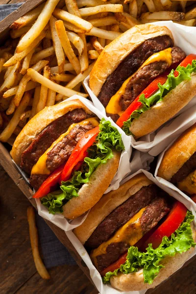 Double cheeseburger a hranolky — Stock fotografie