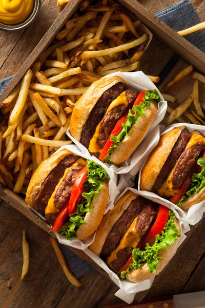 Dubbele Cheeseburgers en Franse frietjes — Stockfoto