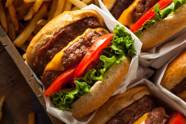 Dubbel cheeseburgare och pommes frites — Stockfoto