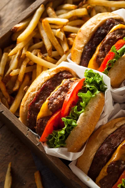 Hamburguesas dobles con queso y papas fritas —  Fotos de Stock