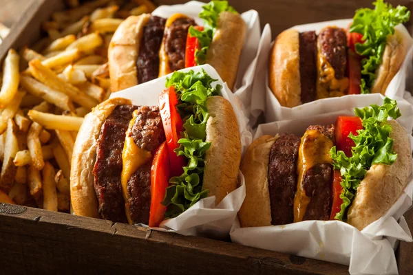 Pokój Dwuosobowy cheeseburgery i frytki — Zdjęcie stockowe