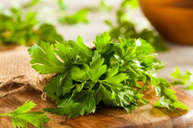 Organik İtalyan düz yaprak maydanoz