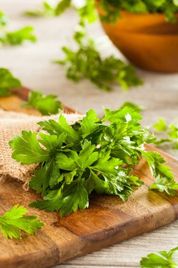 Organik İtalyan düz yaprak maydanoz