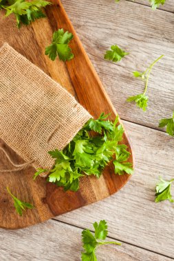 Organik İtalyan düz yaprak maydanoz