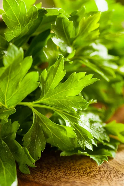 Organic Italian Flat Leaf Parsley — Fotografie, imagine de stoc