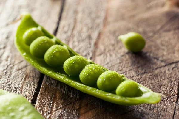 Guisantes de azúcar verde ecológico — Foto de Stock