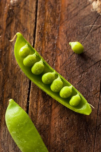 Ervilhas snap açúcar verde orgânico — Fotografia de Stock
