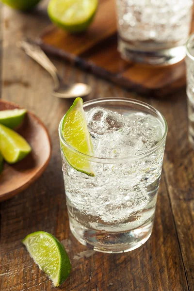 Alcoholic Gin and Tonic — Stock Photo, Image