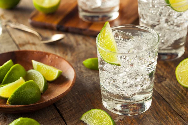 Alkoholischer Gin Tonic — Stockfoto