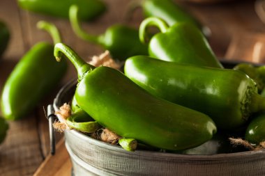 Organik yeşil Jalapeno biber