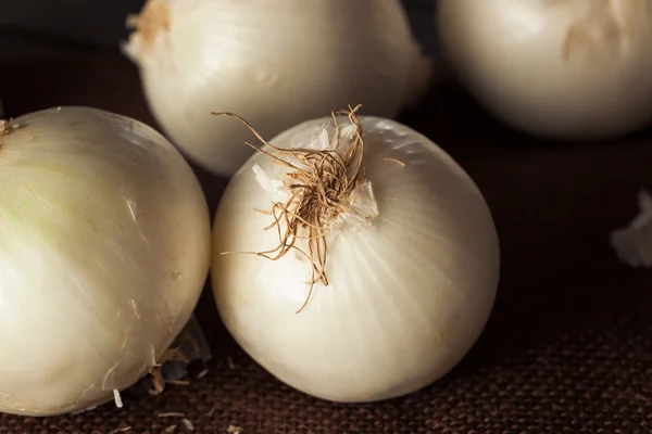Cebollas blancas orgánicas frescas —  Fotos de Stock