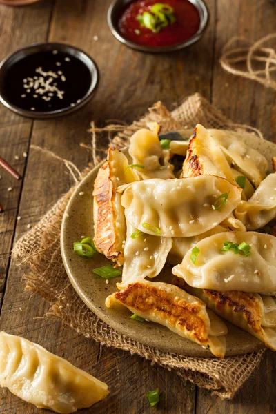 Caseiro asiático porco potstickers — Fotografia de Stock