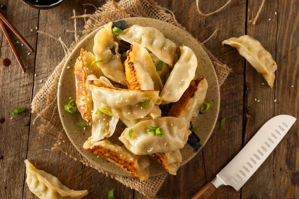 Ασιατικές χοιρινό σπιτικό Potstickers — Φωτογραφία Αρχείου