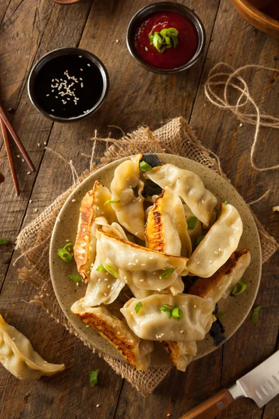 Caseiro asiático porco potstickers — Fotografia de Stock