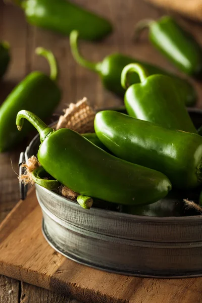 Peperoni verdi Jalapeno biologici — Foto Stock